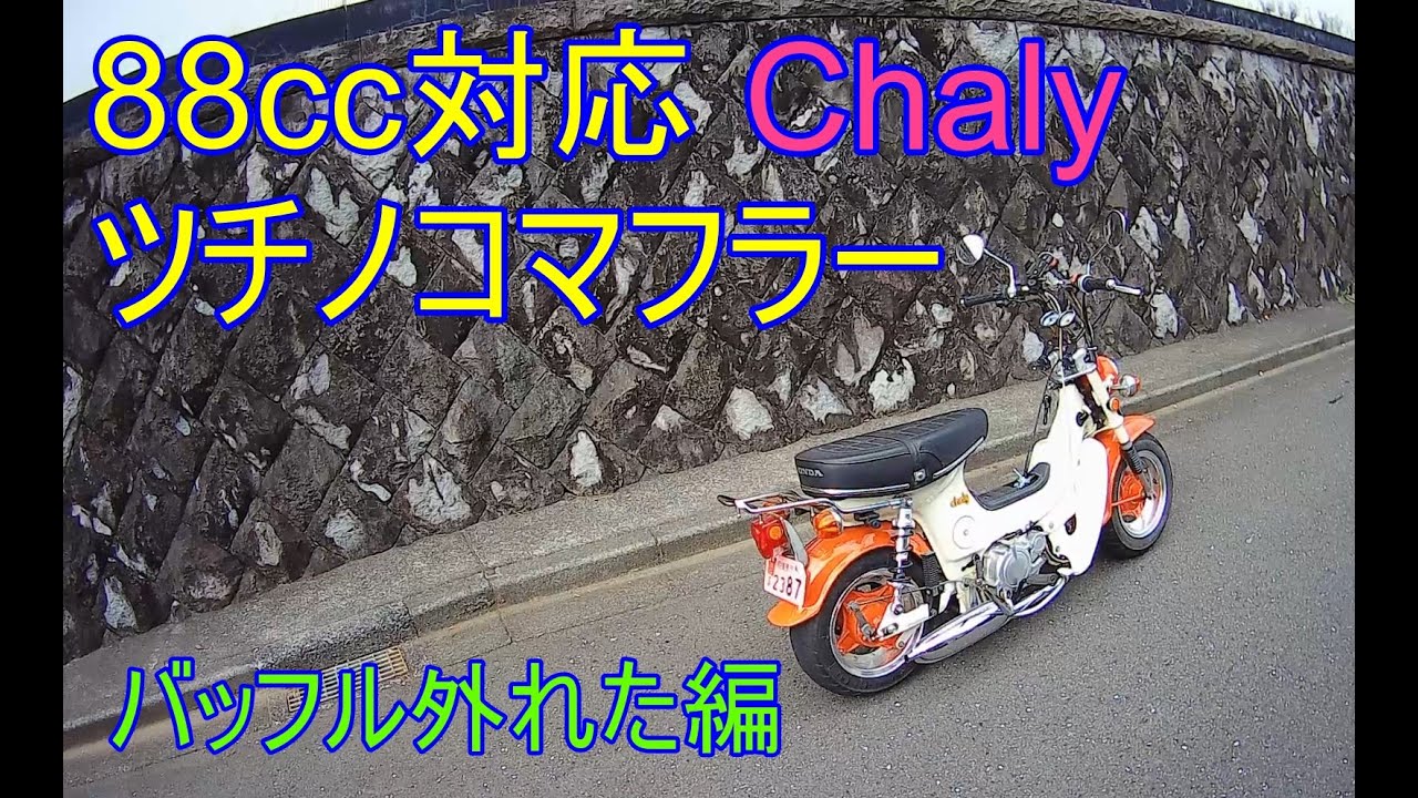 ツチノコマフラーバッフルやっと外れた