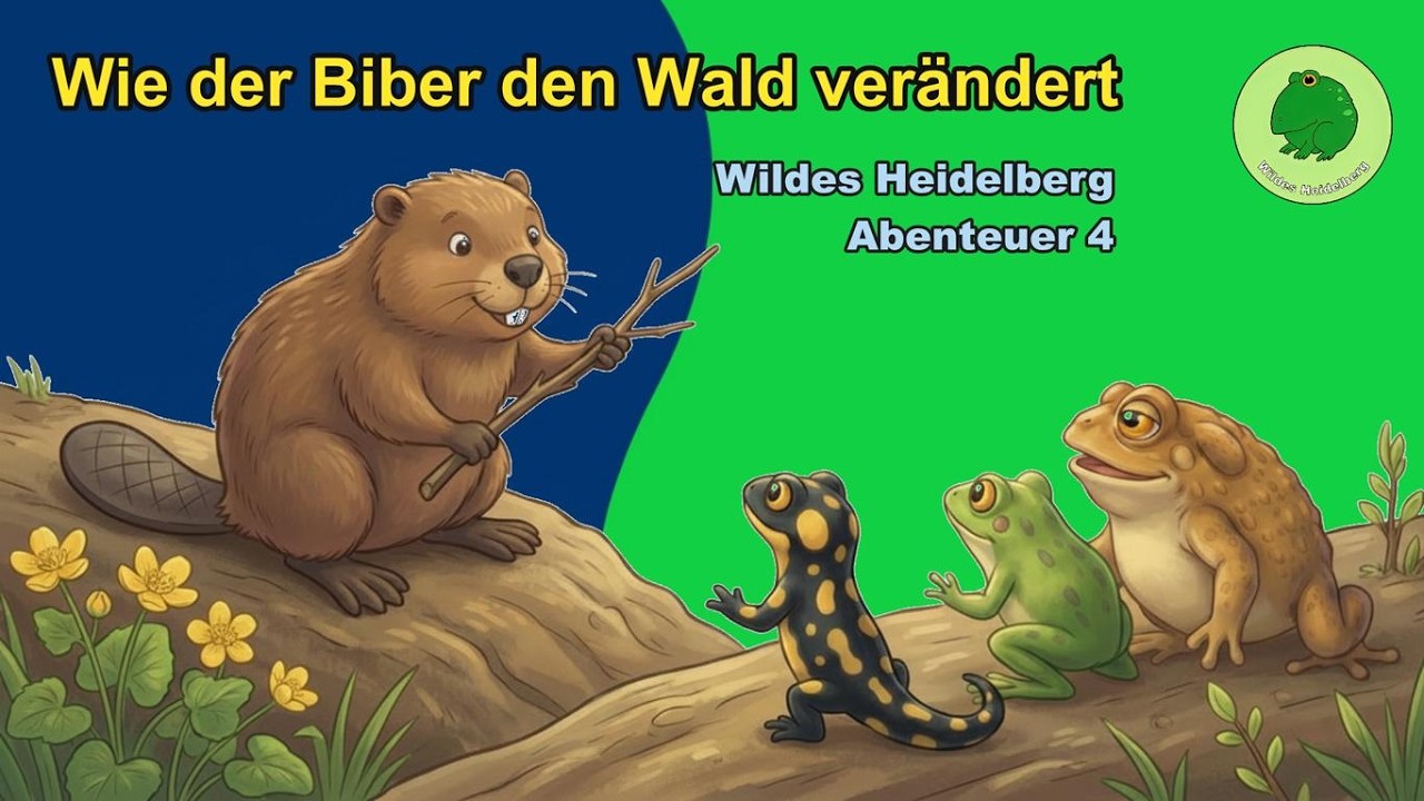 Wie der Biber den Wald verändert