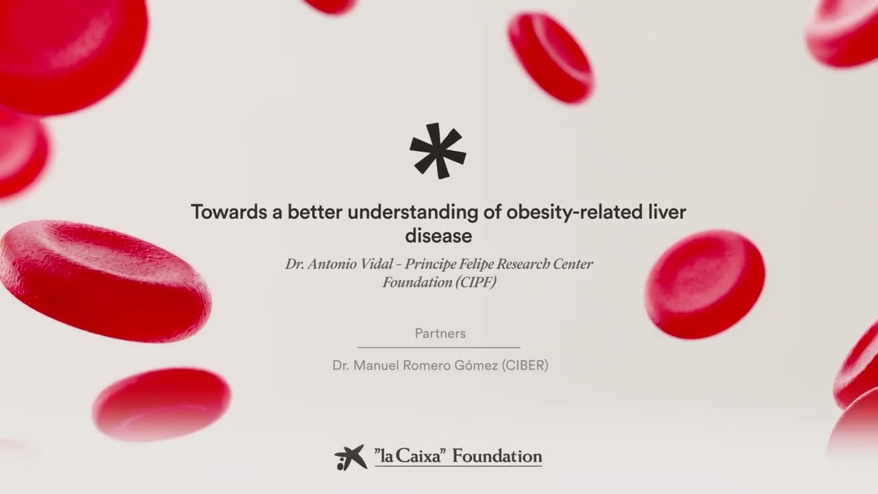Better understanding of obesity-related liver disease. A. Vidal | CaixaResearch Health Call 2024
