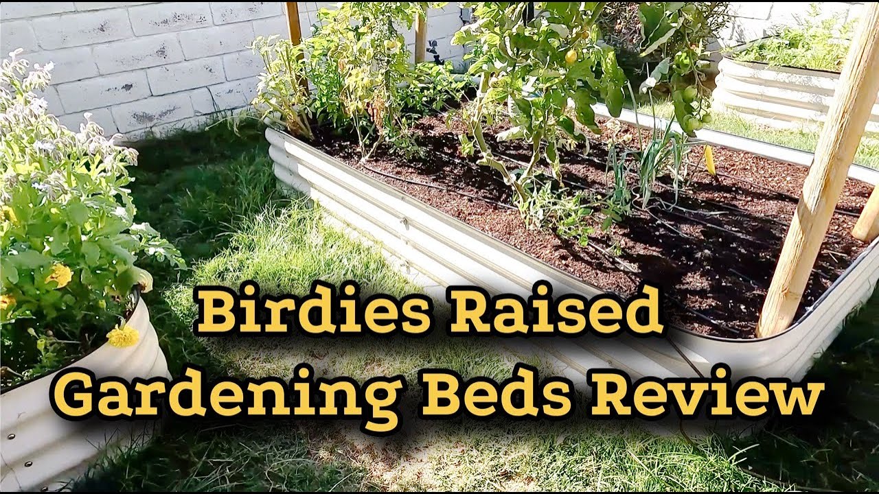 Birdies Raised Garden Bed Review