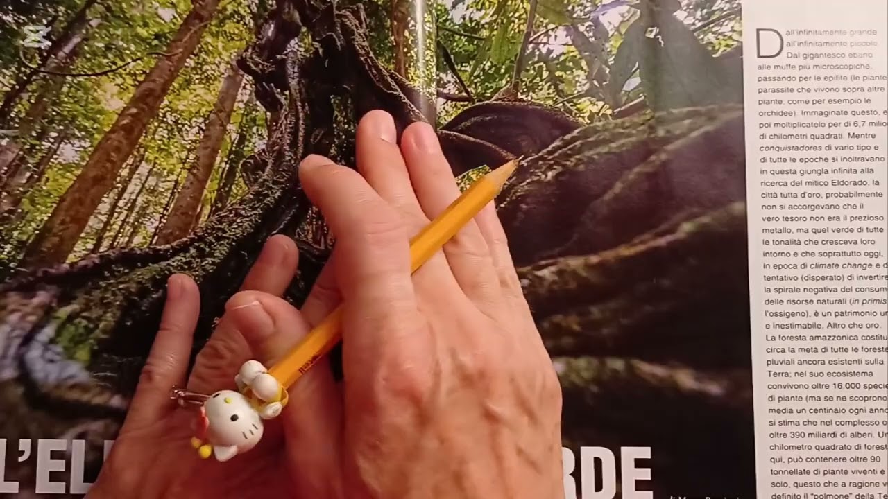 Asmr: la foresta amazzonica 🐒🌳| ASMR ITA | soft spoken + whispering 