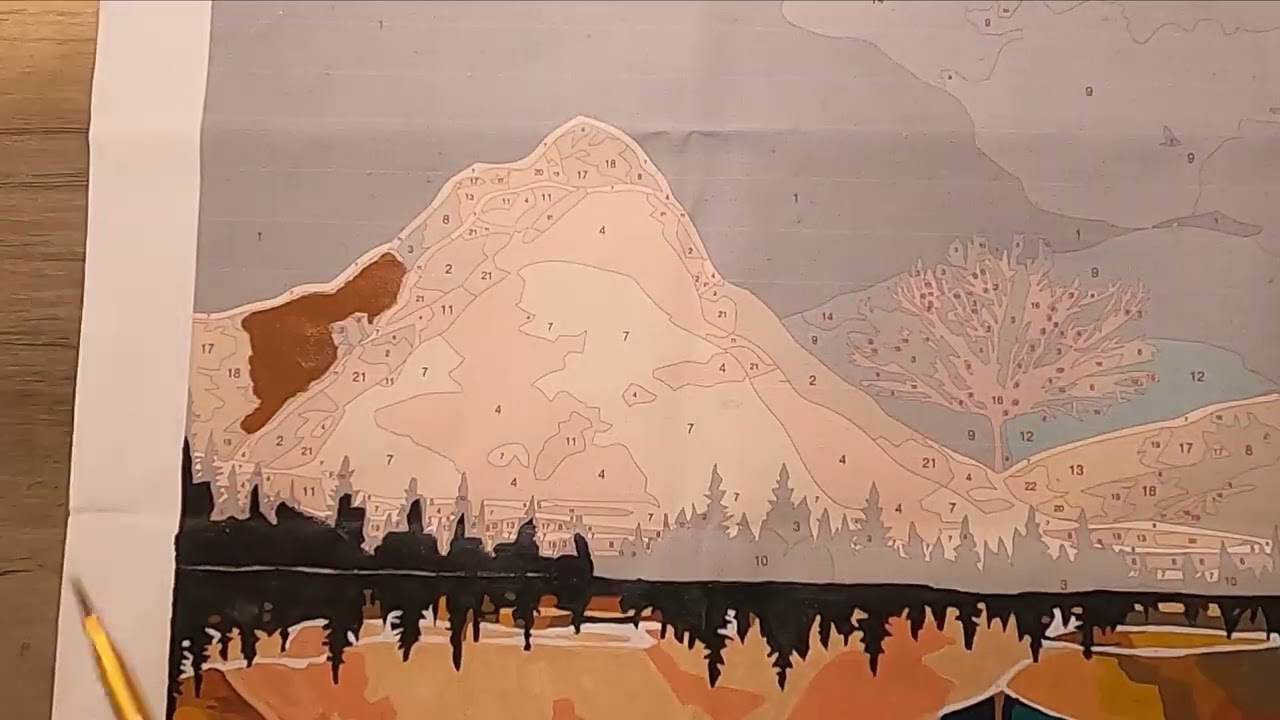 Reflection | Paint by Numbers Time Lapse