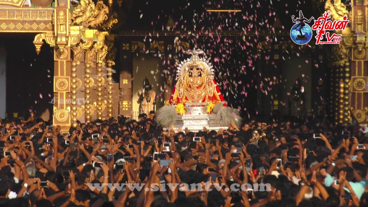 nallur kanthaswami kovil ther 2018