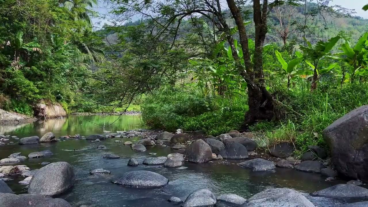 Water River Landscape for Relax and Sleep Deeply | sleep - relax - enjoy life - ASMR