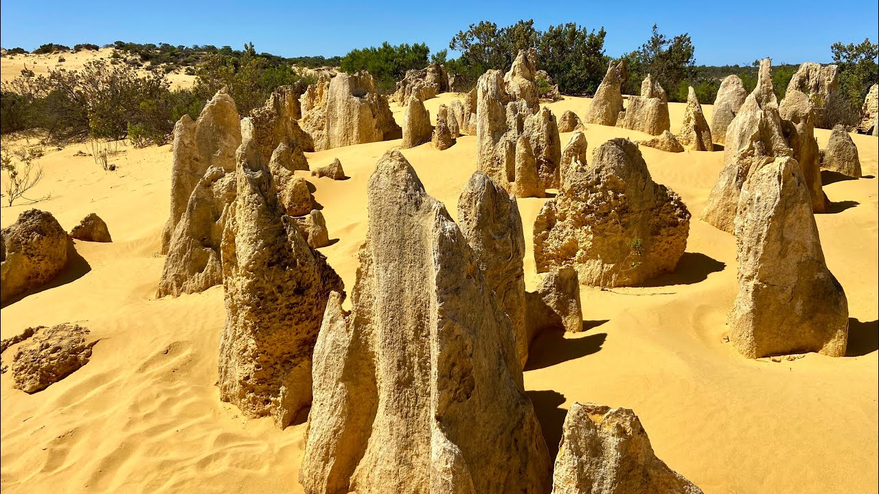 Where the Desert Meets the Sea | Sandy Cape, Jurien Bay & Cervantes 2025
