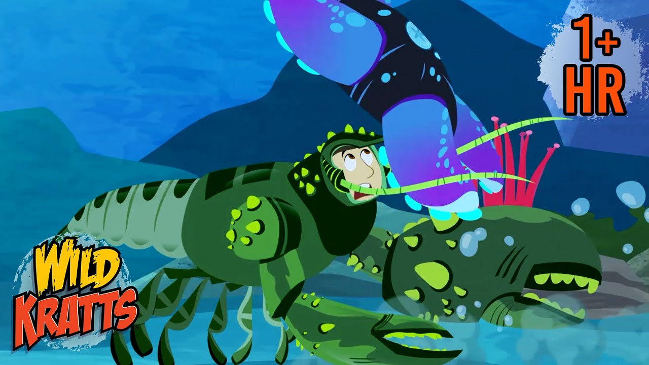 Starfish vs Sunstar | Creature Battles | Wild Kratts