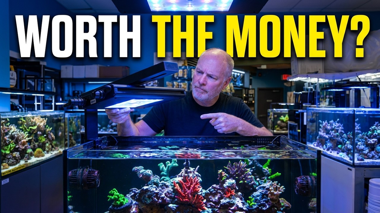 Full ReefBreeders Meridian Setup Guide | Real Performance Numbers