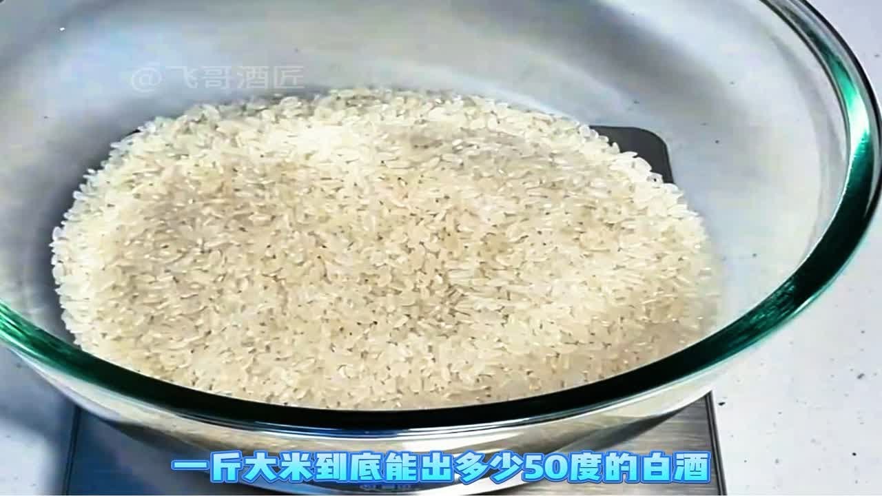 一斤大米到底能出多少50度白酒，今天就用生料液态法试试看。