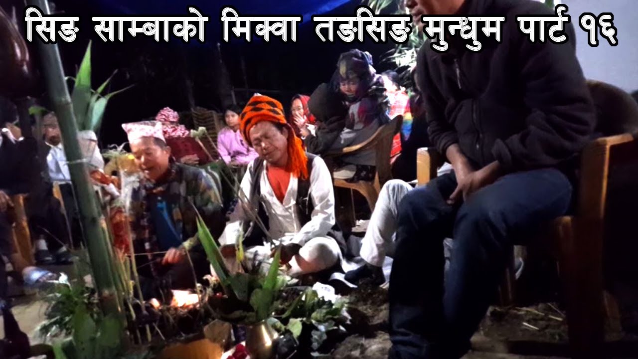 सीङ् साम्बा मंगल मुसाहाङ लिम्बू बाट मिक्वा तङसिङ मुन्धुम प्रस्तुत  हुँदै छ पार्ट  १६