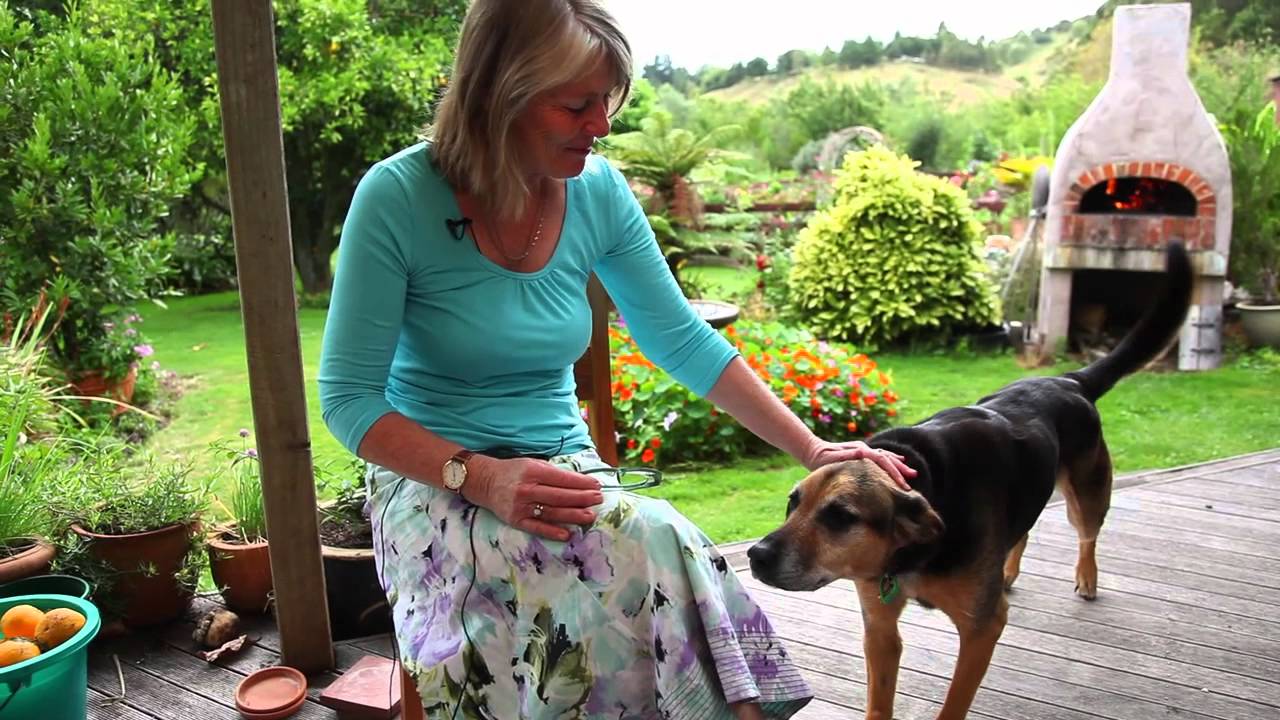 Esk Valley Lodge - Boutique Bed & Breakfast Accommodation
