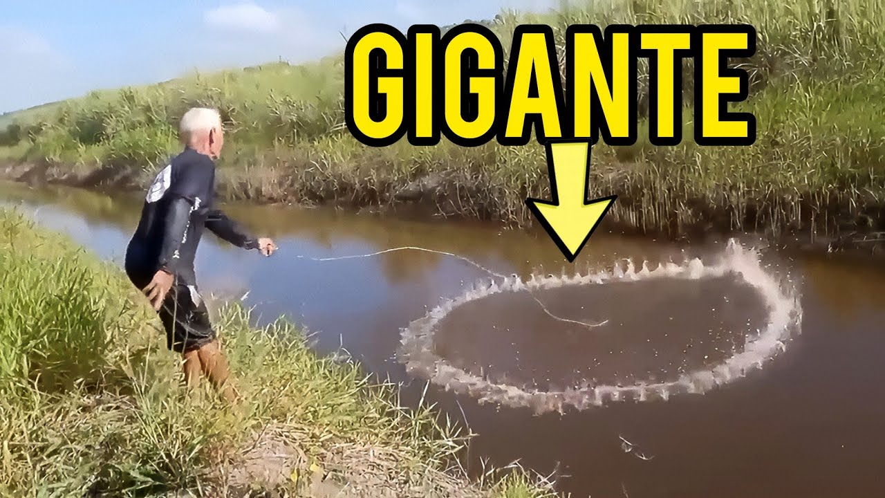SERÁ QUE A TARRAFA VAI AGUENTAR ESSE BICHO É GIGANTE DE MAIS SEGURA FIRME QUE ELE TÁ VINDO 