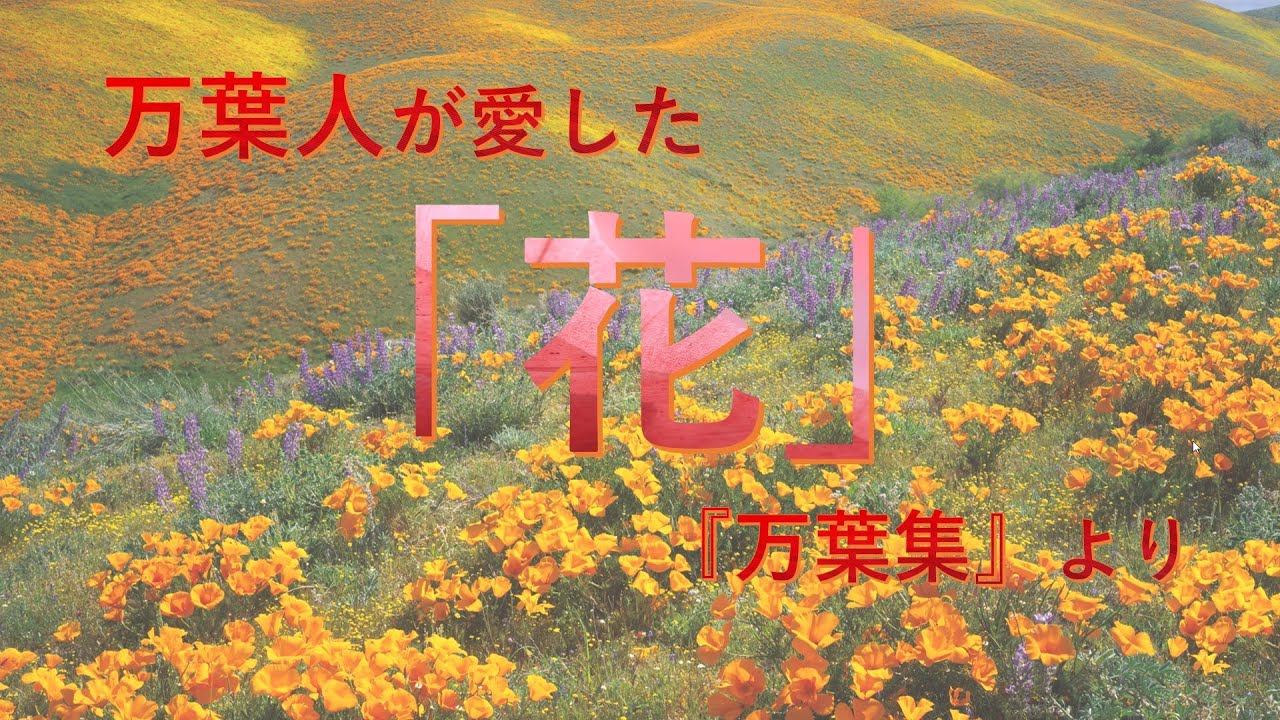 万葉人が愛した「花」を読む（『万葉集』）