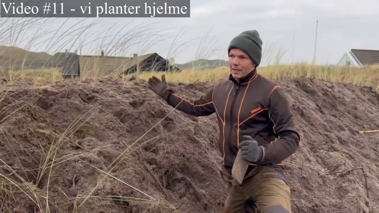 Vi planter hjelme