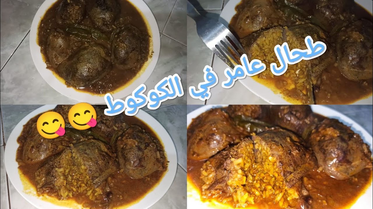 طحال الغنمي  معمر  من الذ ما يكون لداقو يسولك شنو فيه (طايب في الكوكط )