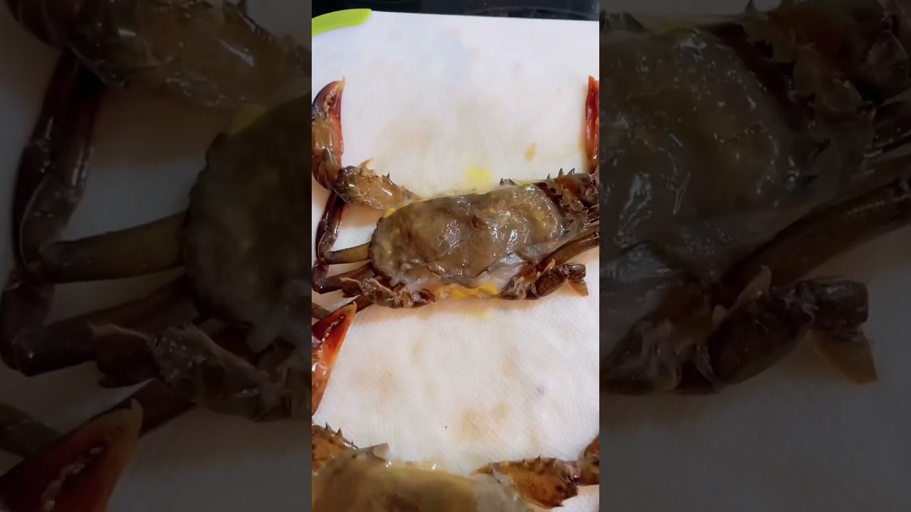 Sea Spider Sandwich Delight #yumyumgetyasum #danosseasoning #dangood #food #crab