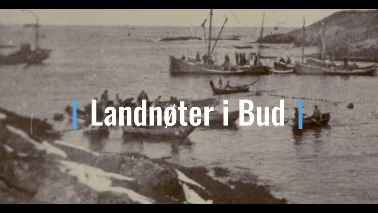 Landnøter i Bud