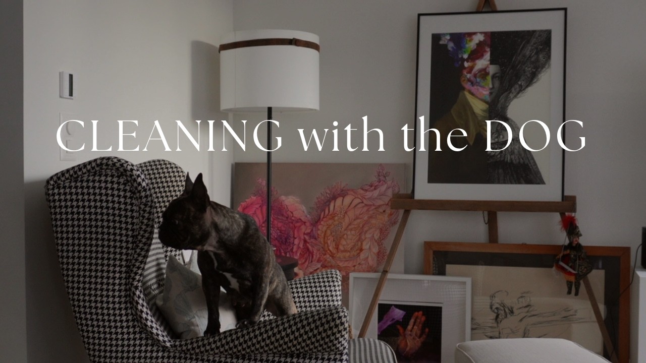 Silent cleaning vlog | cozy home reset day with my dog