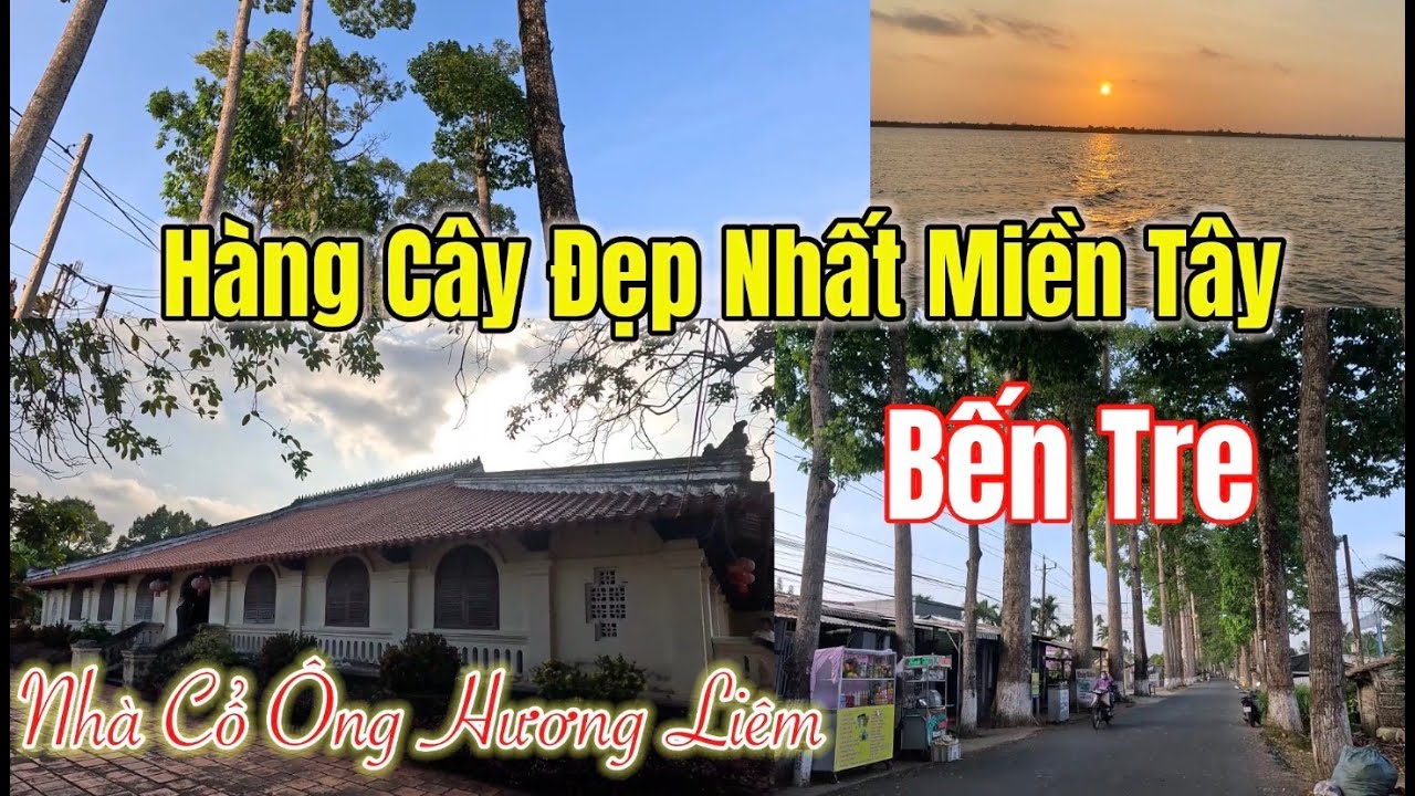 Thăm nhà cổ Huỳnh Phủ và hàng cây dầu cổ thụ đẹp nhất miền Tây.