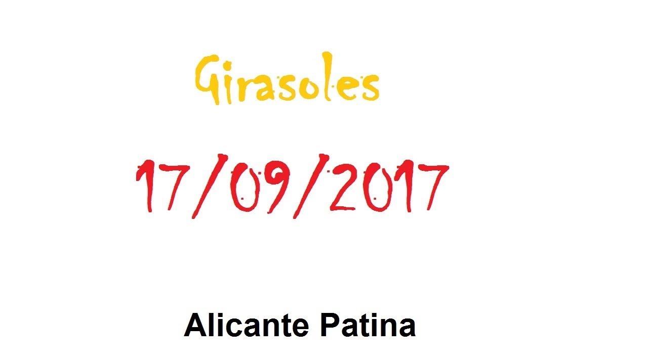 Girasoles