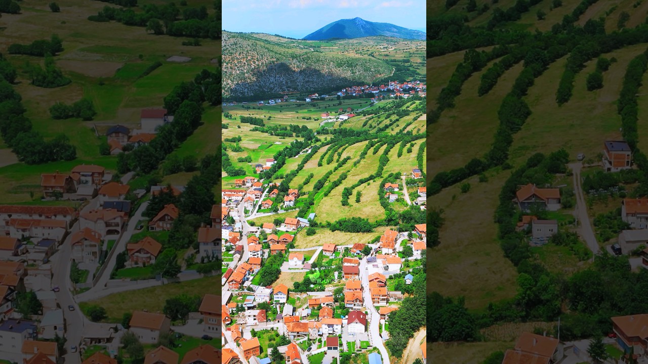 #Opoja