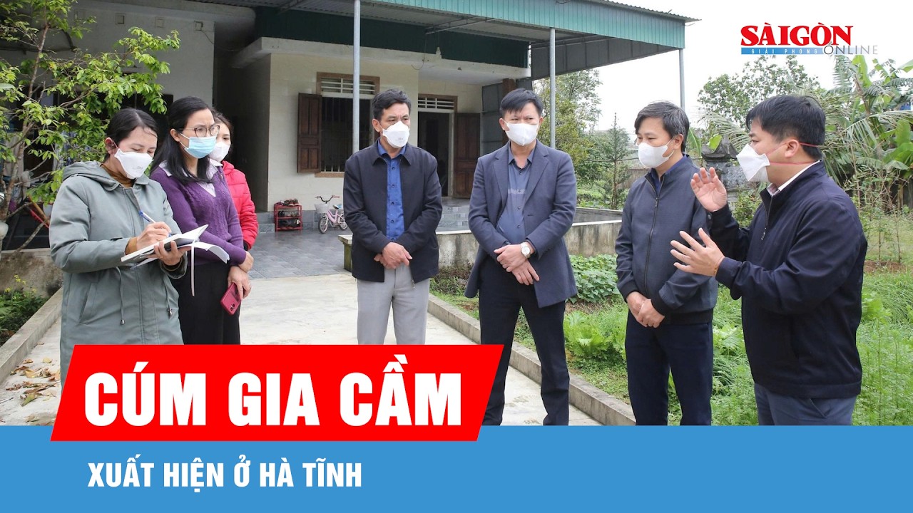 Hà Tĩnh: Xuất hiện dịch cúm gia cầm H5N1, phòng ngừa lây sang người