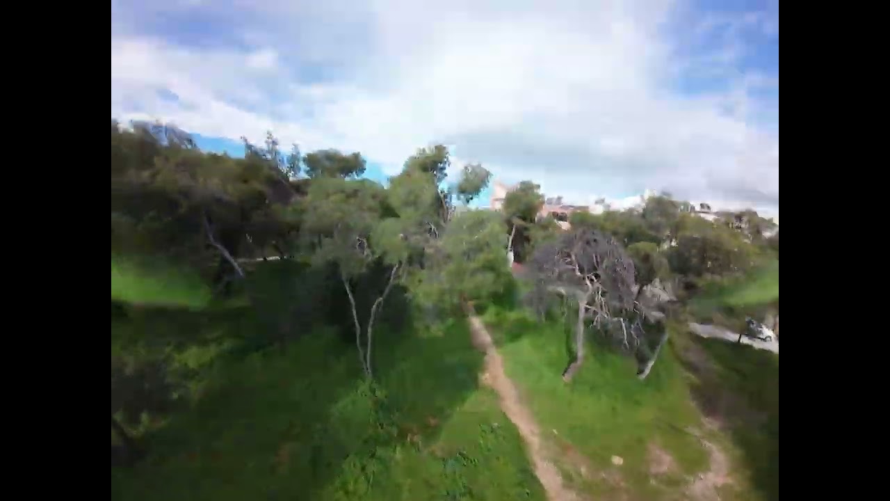 Inside the deep dark forest (3) \\ FPV freestyle