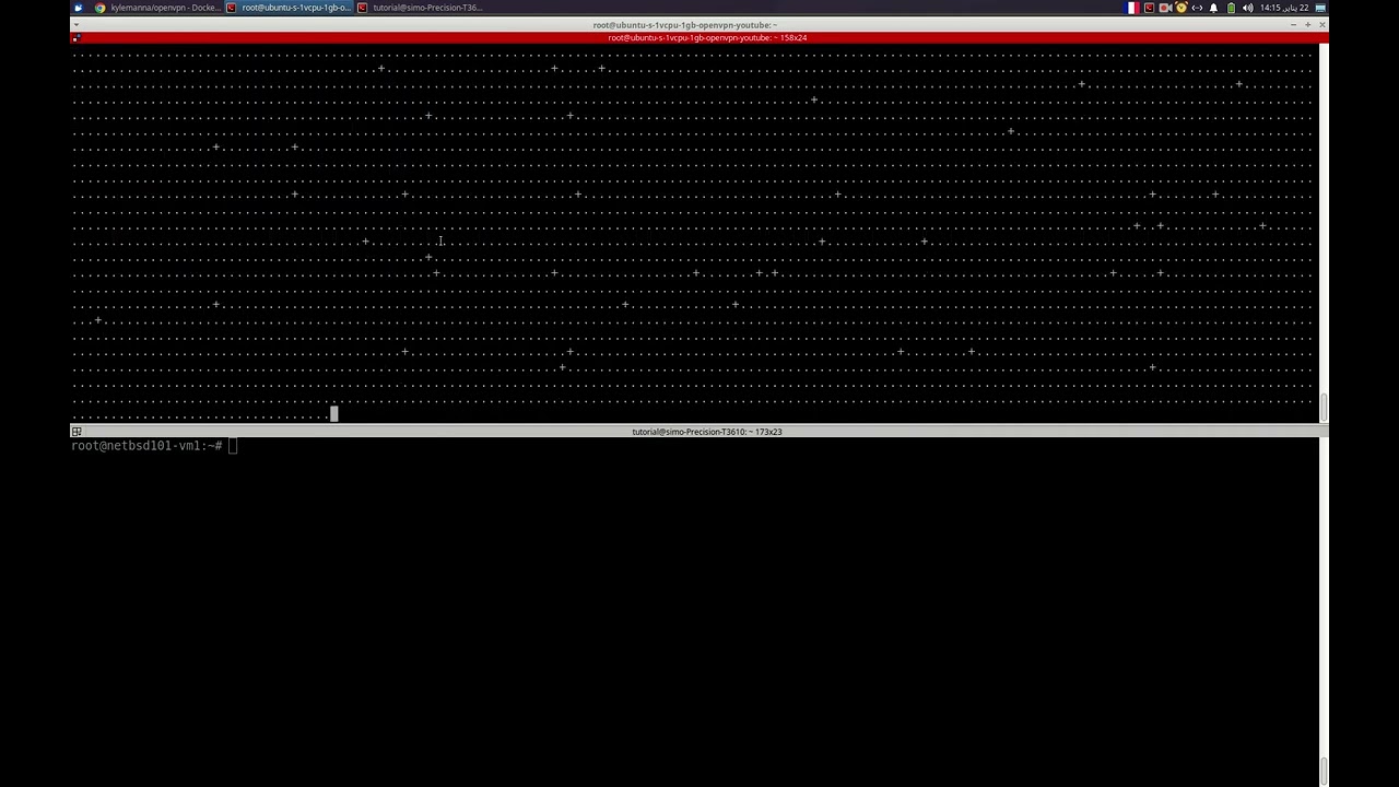 Connect FreeBSD to NetBSD to Linux with Openvpn with Cloud Instance ربط هذه الإنظمة عن طريق فبين