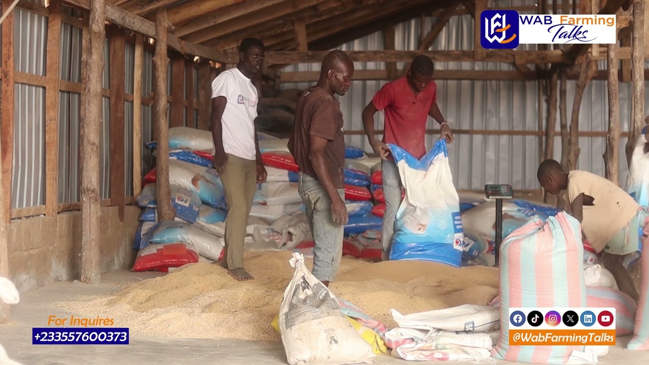 Ultimate Guide to Poultry Feed Formulation Boost Growth & Profit in 2025