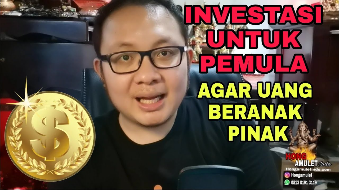 Investasi Untuk Pemula, Cara Agar Uang Beranak Pinak !!