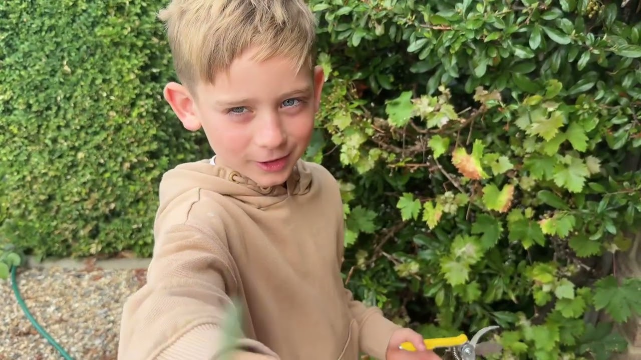 Archie the gardener! 