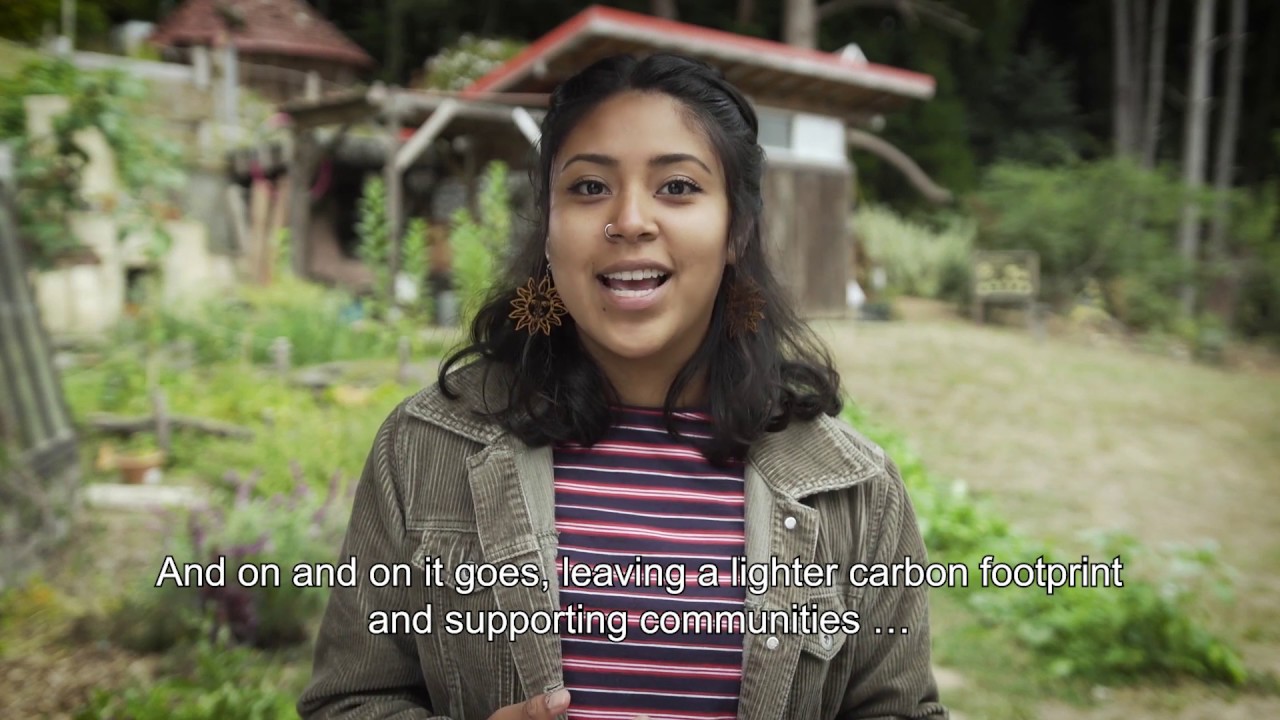 Welcome to Sustainability at HSU