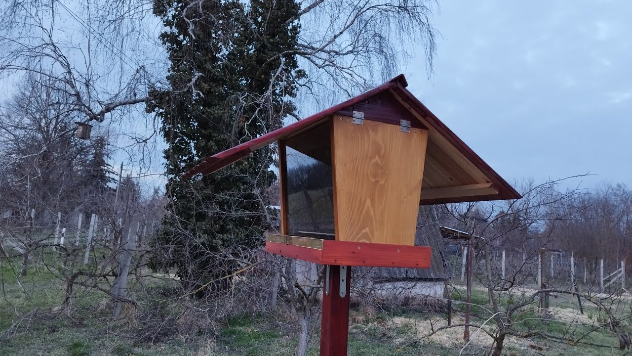 Madár etető kihelyezése - hova, hogyan, tippek a sikeres madár etetéshez