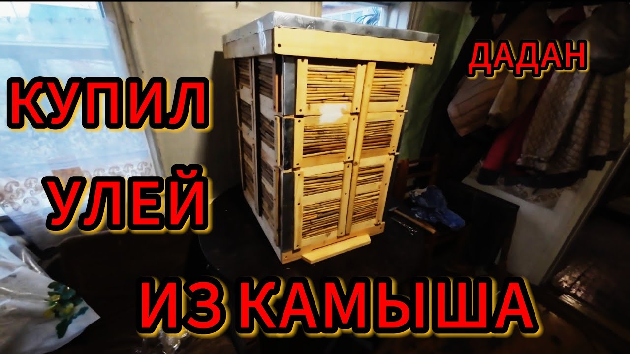 КУПИЛ УЛЕЙ С КАМЫША (ОЧЕРЕТА) ДАДАН 10 Рамок