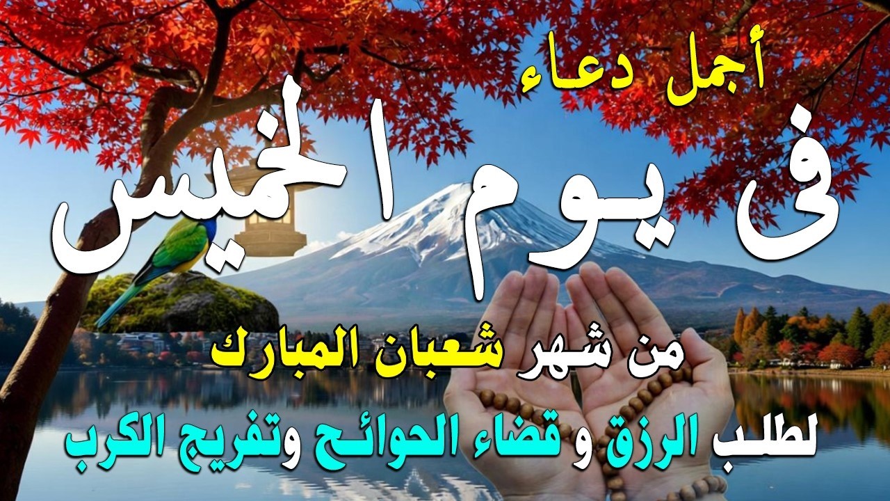 دعاء فى يوم الثلاثاء المستجاب دعاء في يوم 22 من شهر شعبان للرزق والشفاء العاجل وقضاء الحوائج 🤲(4k)