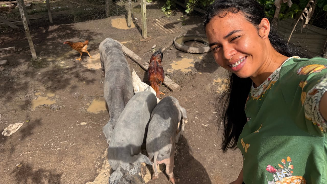 COLOCANDO COMIDA PRA OS PORCOS| MOSTREI TUDO.