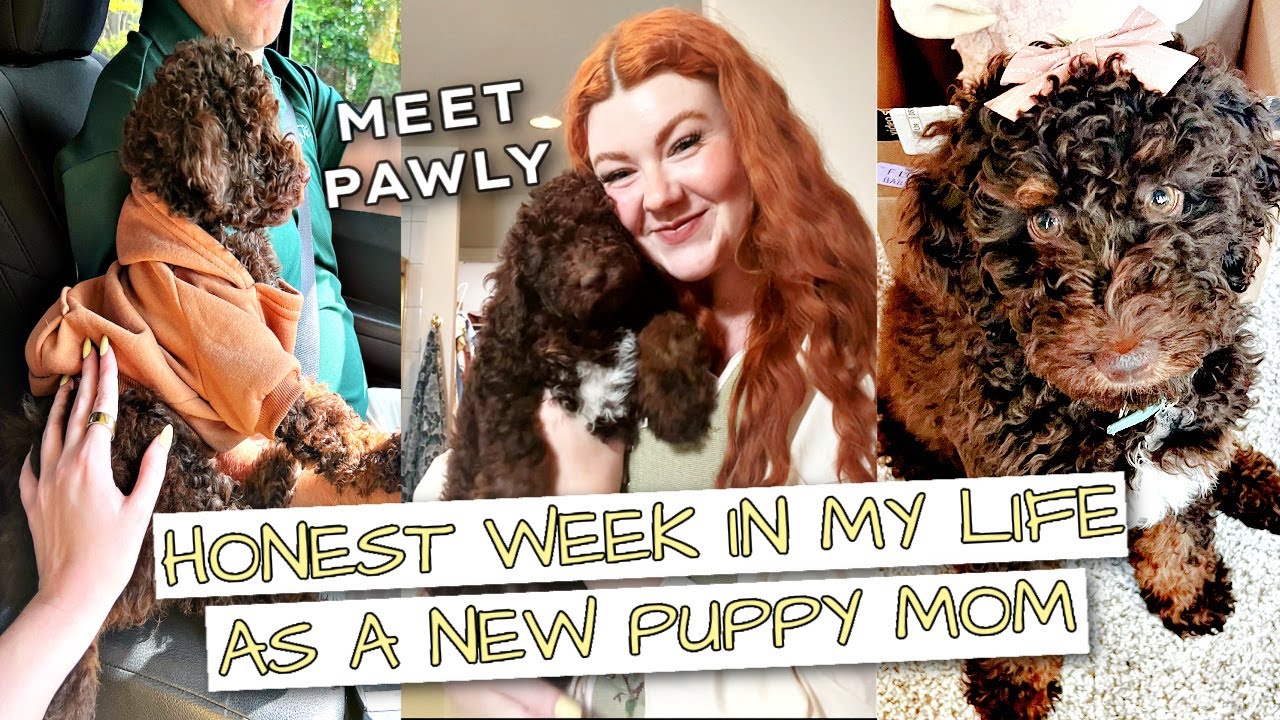 MEET PAWLY!! Picking Her Up + First Few Weeks With 11 Week Old Puppy *HONEST*