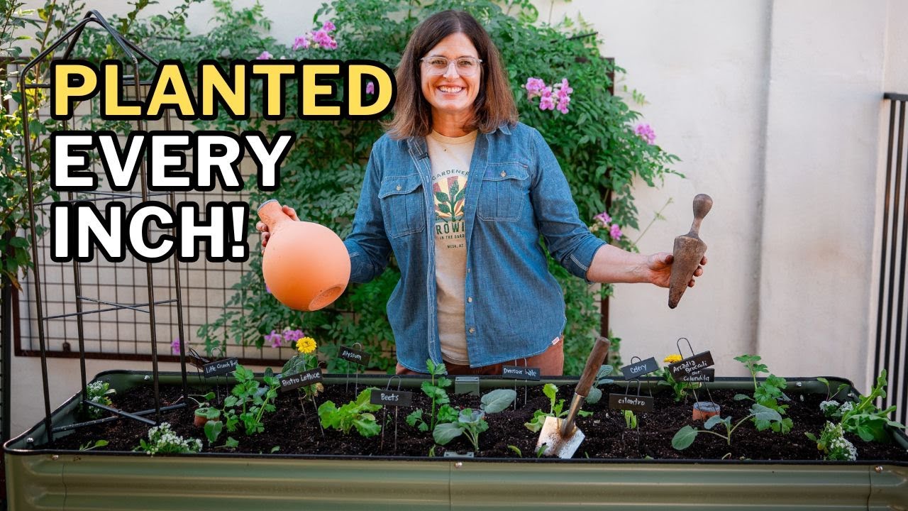 SMALL GARDEN, BIG HARVEST: 2&times;6 Elevated Bed Planting Layout
