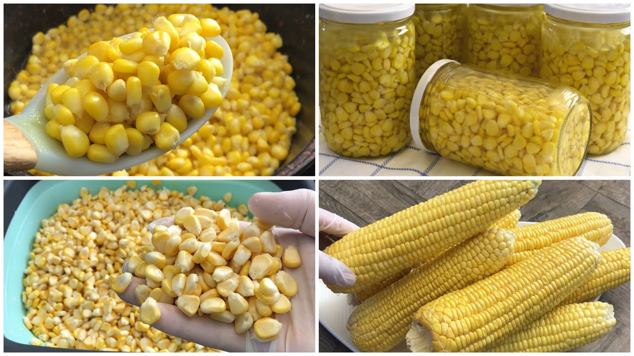 أسهل طريقة لحفظ الذرة تدوم سنوات بدون فريزر -Conserve  Corn
