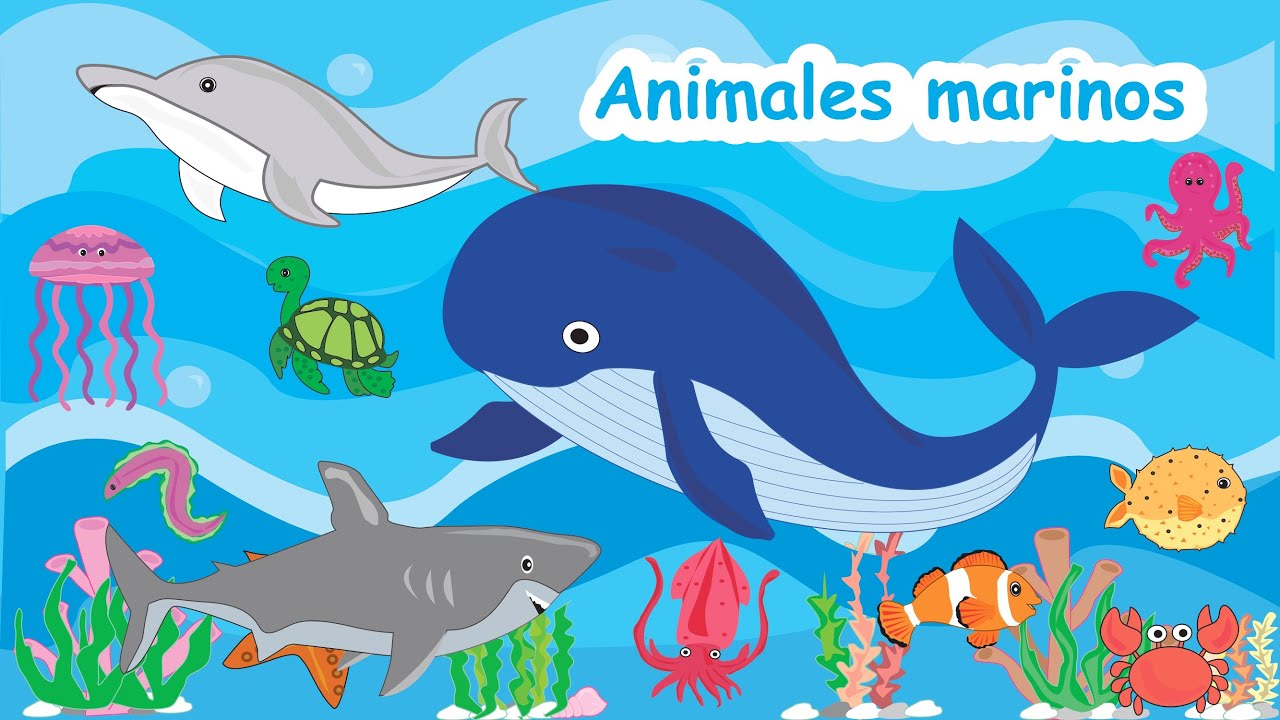 Animales Marinos para niños