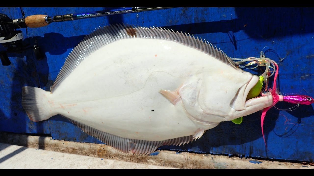 Early Season Summer Flounder (Fluke) Fishing