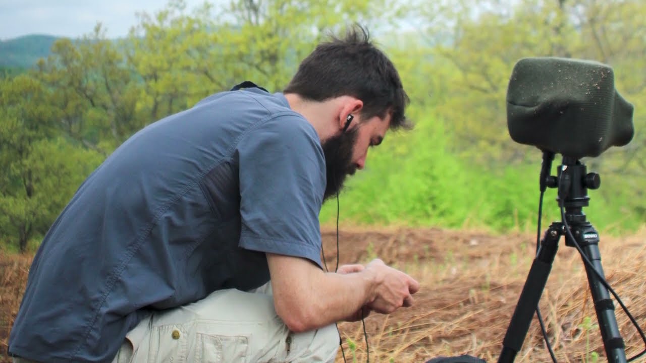 BTS #11: My Most Successful Trip EVER! | Hammersley Wild Area