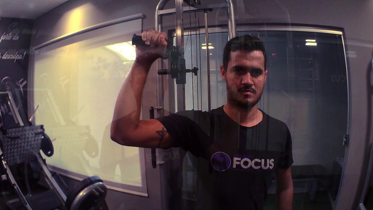 Exercícios para Epicondilite - Studio Focus Musculação e Reabilitação