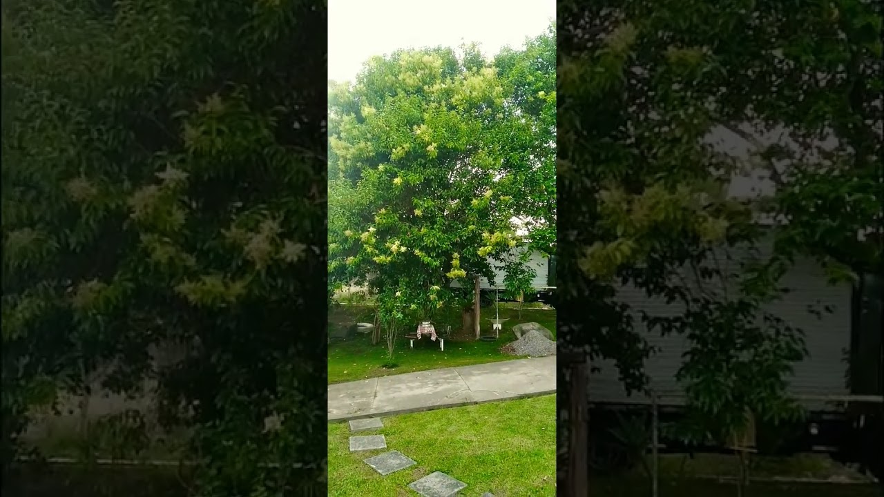 #natureza