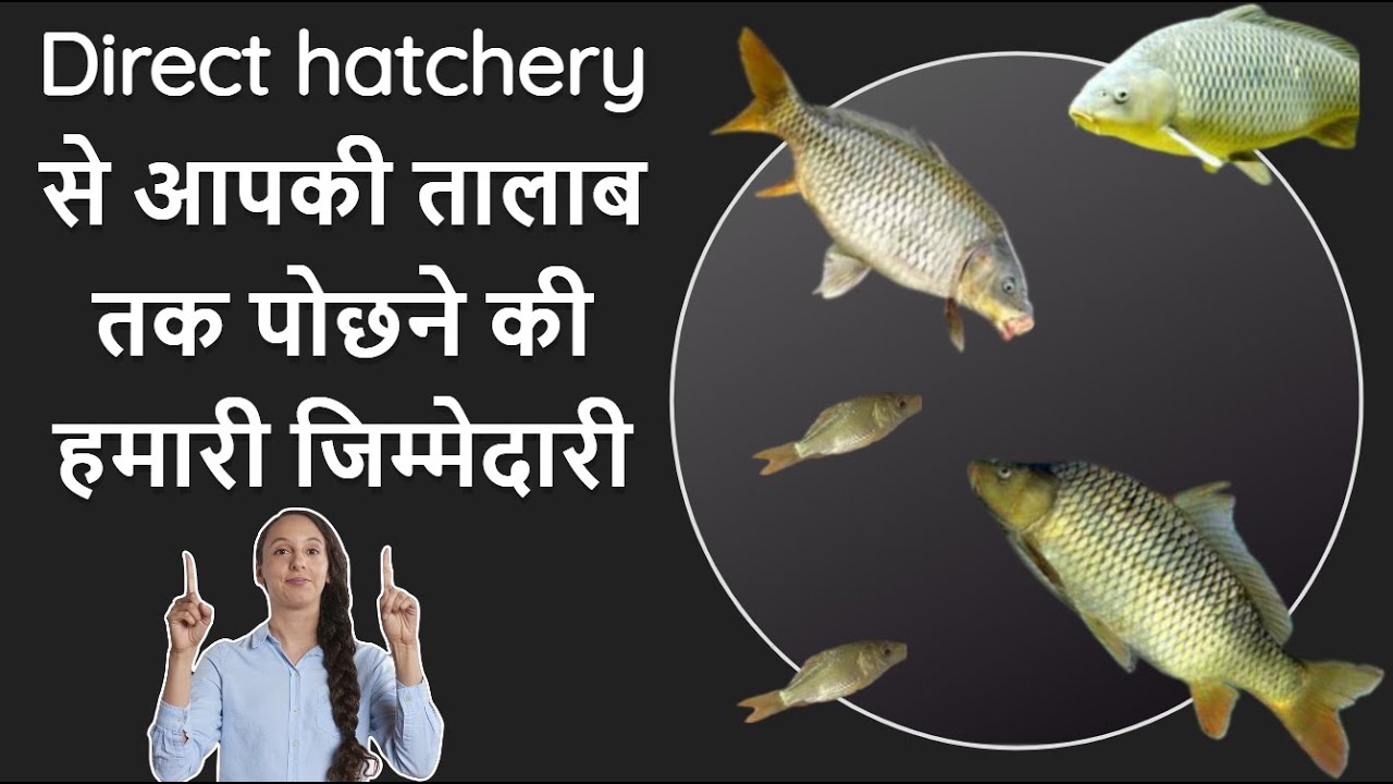 Bihar and Uttar Pradesh's BEST Kept Secret for COMMON CARP Seed Cultivation!