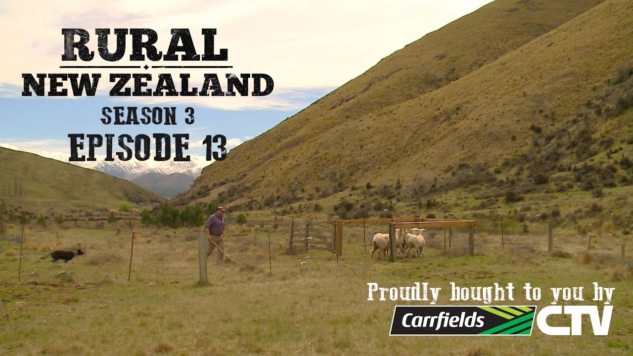 Rural New Zealand -  S03 E13