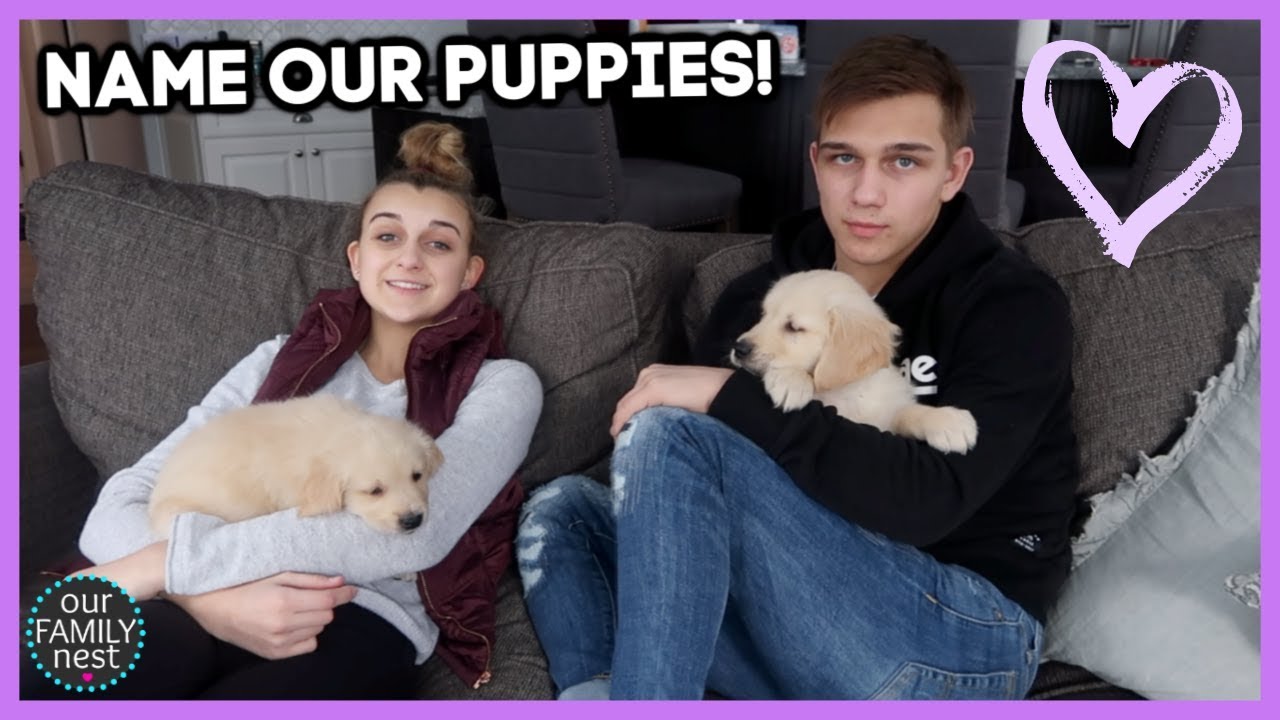 HELP US NAME OUR NEW PUPPIES!