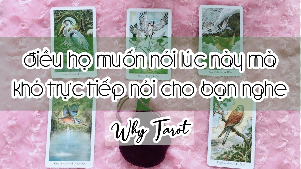 [#12] ĐIỀU HỌ MUỐN NÓI LÚC NÀY MÀ KHÓ TRỰC TIẾP NÓI CHO BẠN NGHE!