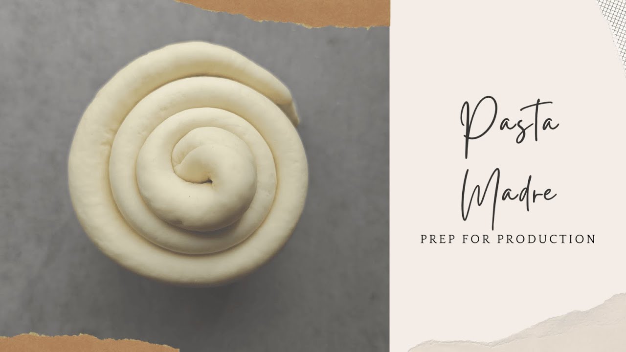 Pasta Madre | How to Prep for Panettone Production