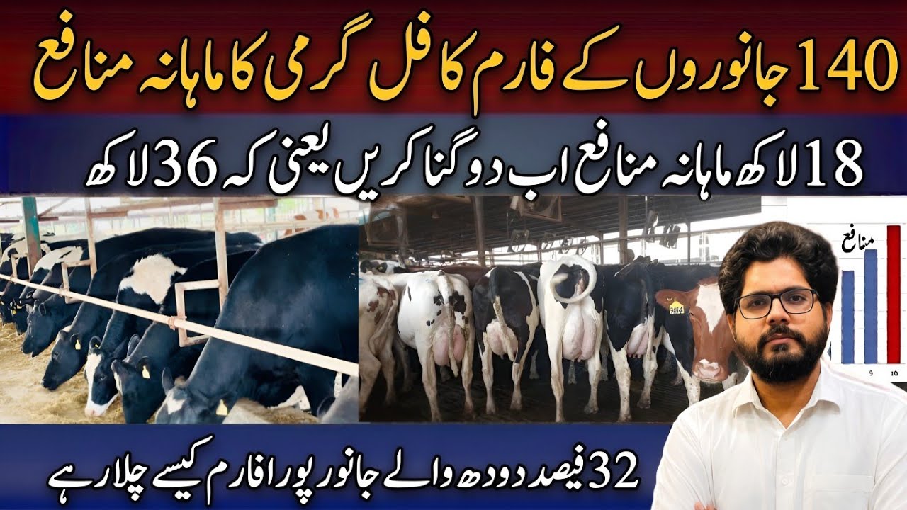 Dairy Farm Secret Information II Summer Profit for 140 Animals II Double Your Milk Profits