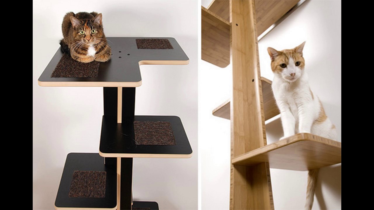 Ideas modernas de diseño de muebles para gatos